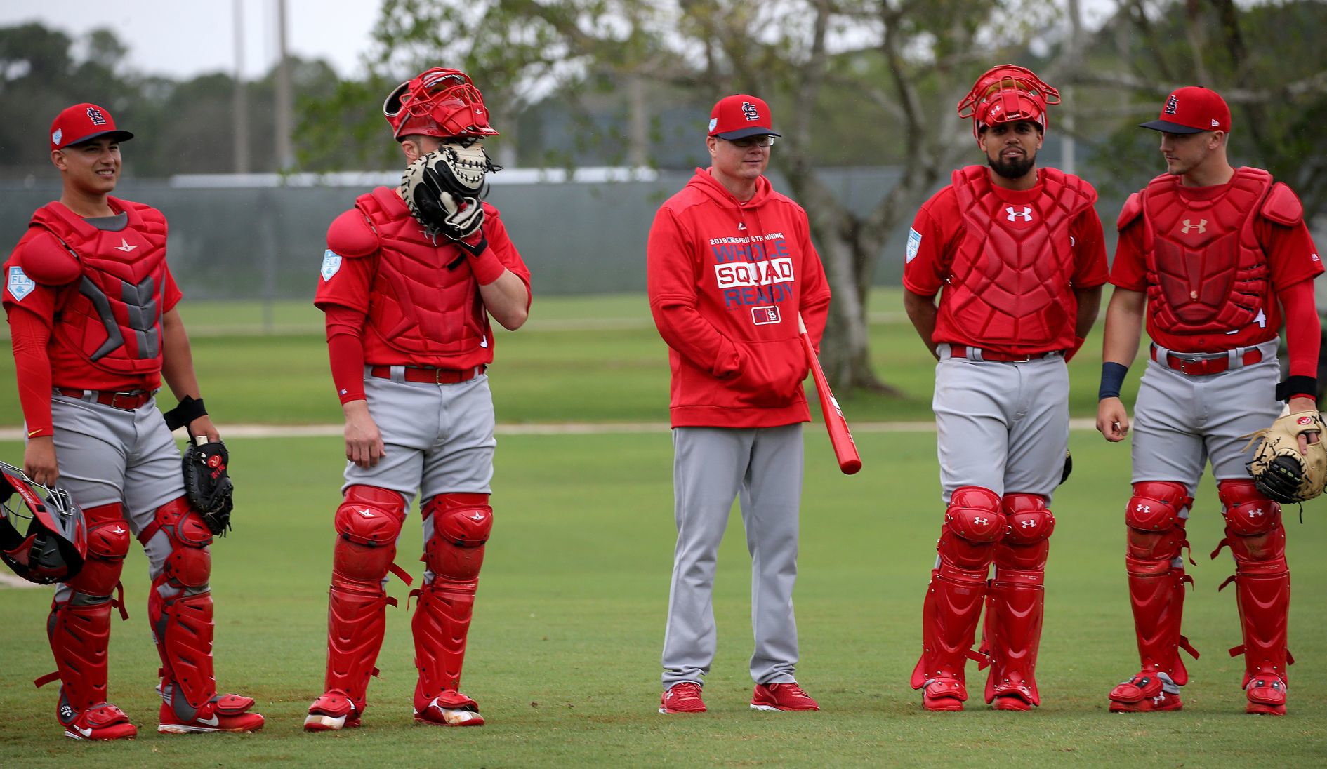 Cardinals spring training